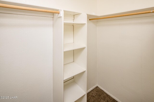 spacious closet with carpet flooring