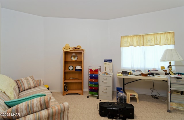 49626 Rainbow Way, Quartzsite, AZ 85346 - photo 13