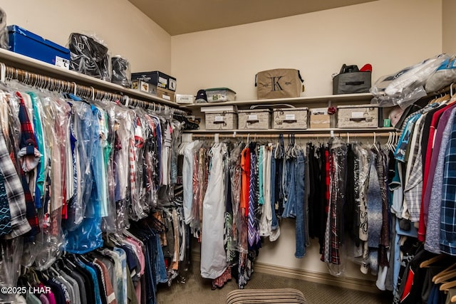 walk in closet featuring carpet floors