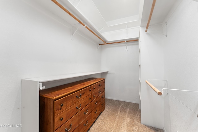 spacious closet with light carpet