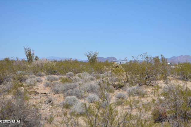 LOT205 S Cortaro Rd, Yucca, AZ 86438