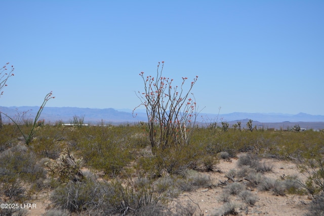LOT205 S Cortaro Rd, Yucca, AZ 86438