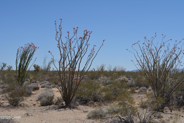 LOT205 S Cortaro Rd, Yucca, AZ 86438