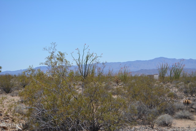 LOT205 S Cortaro Rd, Yucca, AZ 86438