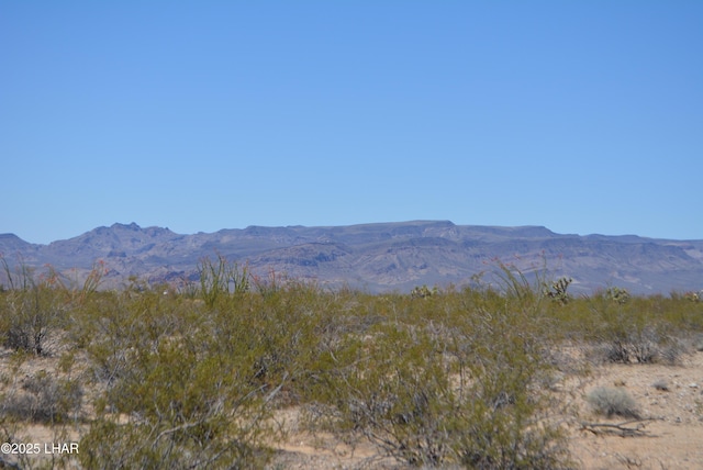 LOT205 S Cortaro Rd, Yucca, AZ 86438