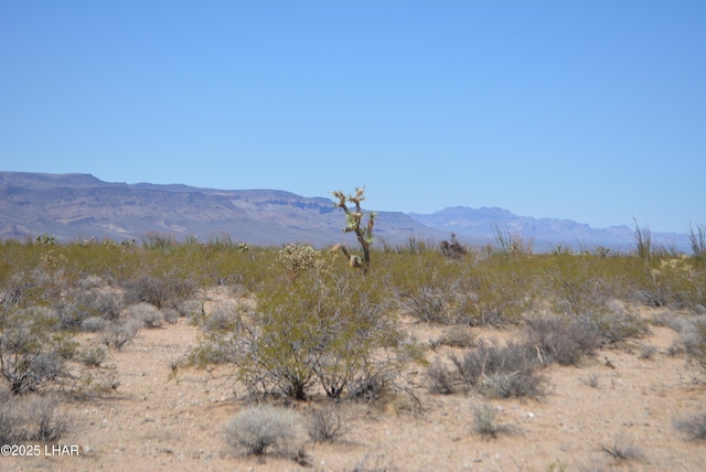 LOT205 S Cortaro Rd, Yucca, AZ 86438
