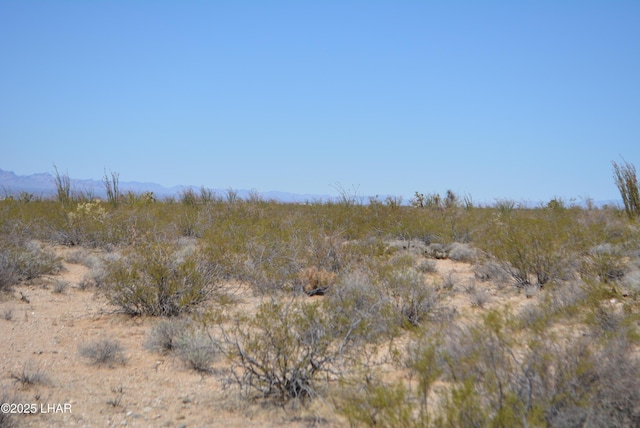 LOT205 S Cortaro Rd, Yucca, AZ 86438