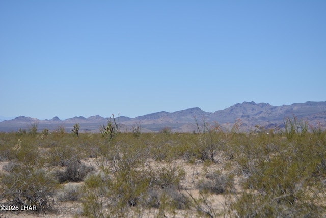 LOT205 S Cortaro Rd, Yucca, AZ 86438