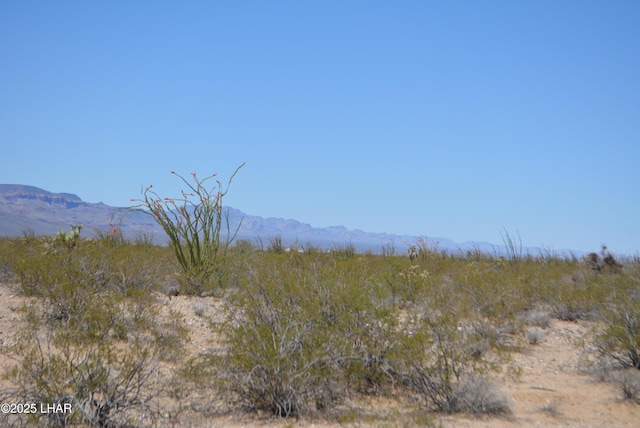 LOT205 S Cortaro Rd, Yucca, AZ 86438