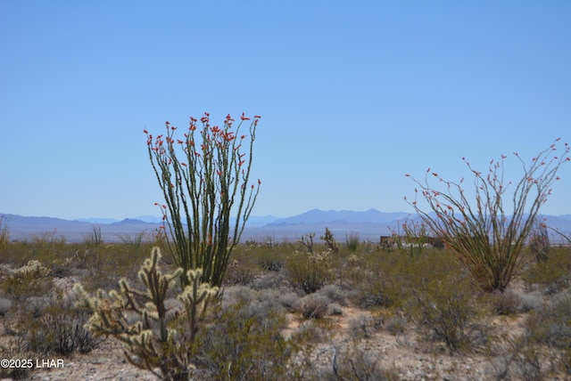 LOT205 S Cortaro Rd, Yucca, AZ 86438