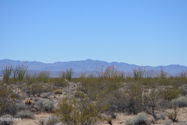 LOT205 S Cortaro Rd, Yucca, AZ 86438