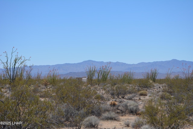 LOT205 S Cortaro Rd, Yucca, AZ 86438