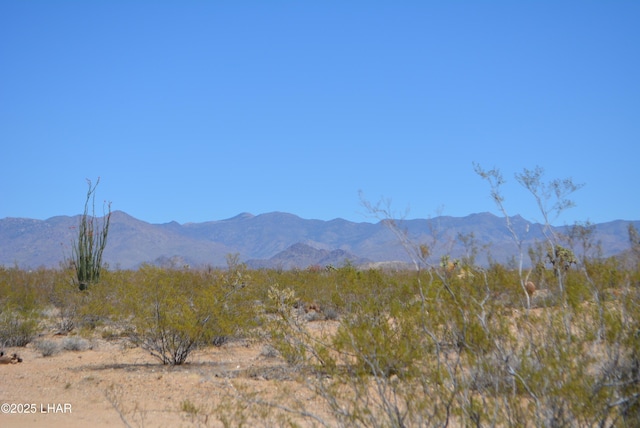 LOT205 S Cortaro Rd, Yucca, AZ 86438