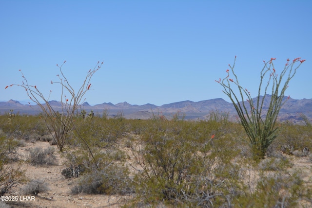 LOT205 S Cortaro Rd, Yucca, AZ 86438