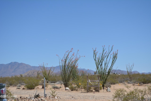 LOT205 S Cortaro Rd, Yucca, AZ 86438