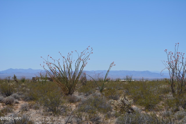 LOT205 S Cortaro Rd, Yucca, AZ 86438