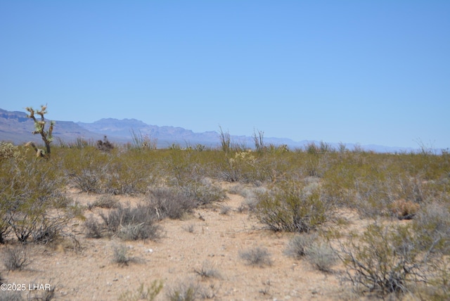 LOT205 S Cortaro Rd, Yucca, AZ 86438