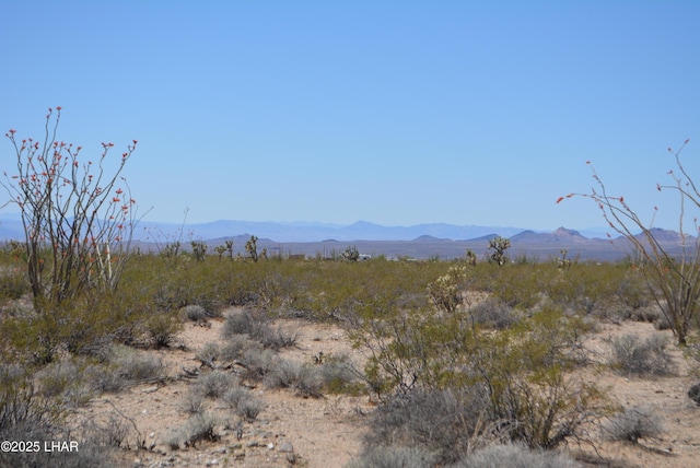 LOT205 S Cortaro Rd, Yucca, AZ 86438
