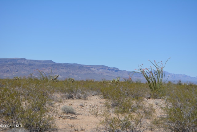 LOT205 S Cortaro Rd, Yucca, AZ 86438