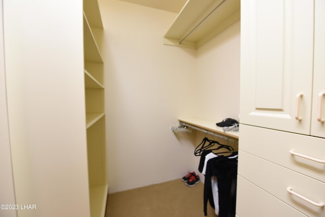 9124 Lakeview Dr, Parker, AZ 85344 - spacious closet with carpet flooring
