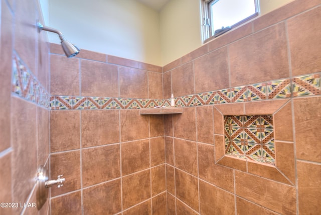 9124 Lakeview Dr, Parker, AZ 85344 - room details featuring walk in shower