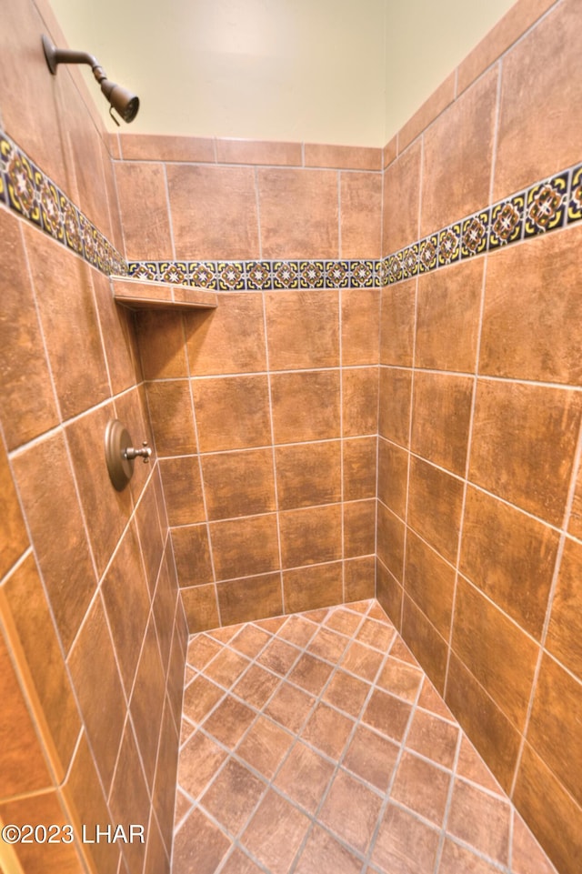 9124 Lakeview Dr, Parker, AZ 85344 - bathroom with tiled shower