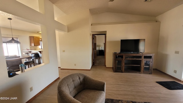 living room featuring hardwood / wood-style flooring and lofted ceiling