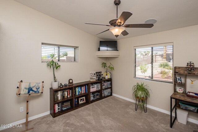 3622 Kiowa Ct, Lake Havasu City, AZ 86404 - photo 27