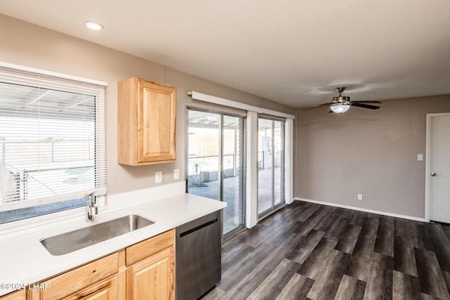 kitchen with dishwashing machine, light brown cabinetry, dark wood-type flooring, and sink