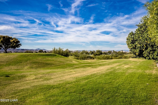 view of home's community with a rural view and a yard