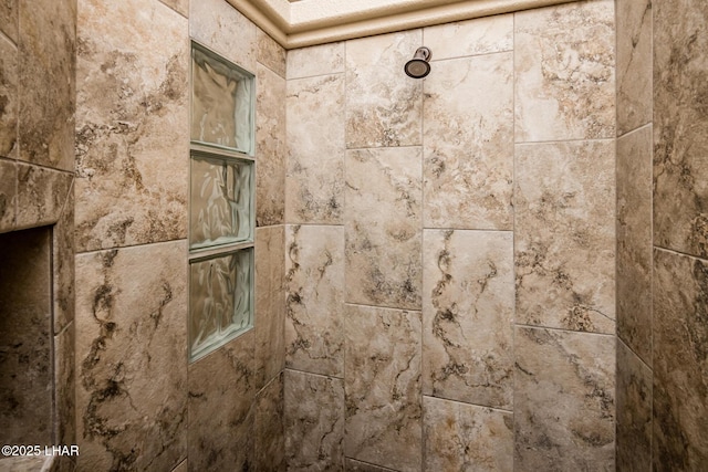 room details featuring tiled shower