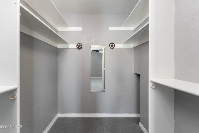 walk in closet with ceiling fan and carpet floors