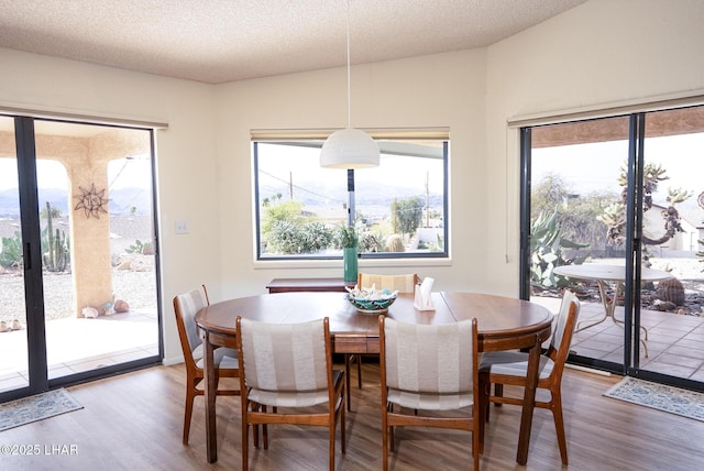 dining space featuring a textured ceiling and wood finished floors