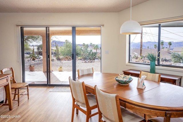 dining space with a textured ceiling, light wood-style flooring, and a wealth of natural light