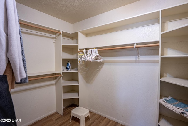 walk in closet featuring wood finished floors