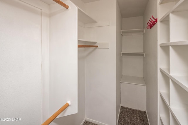3716 Sloop Ln, Lake Havasu City, AZ 86406 - view of spacious closet