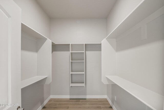 spacious closet featuring wood finished floors