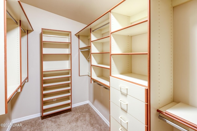 879 Window Rock Plz, Lake Havasu City, AZ 86406 - walk in closet with light colored carpet