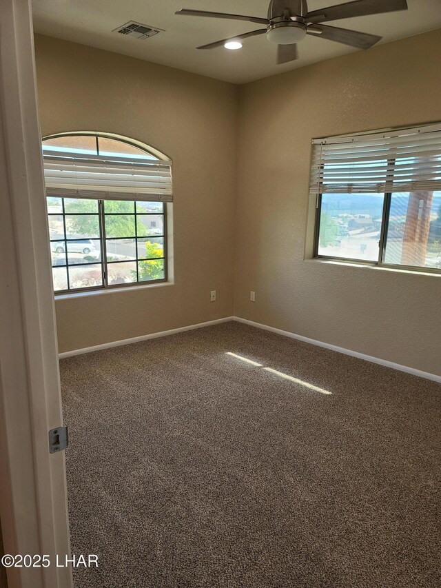 3341 Dune Dr, Lake Havasu City, AZ 86404 - photo 78