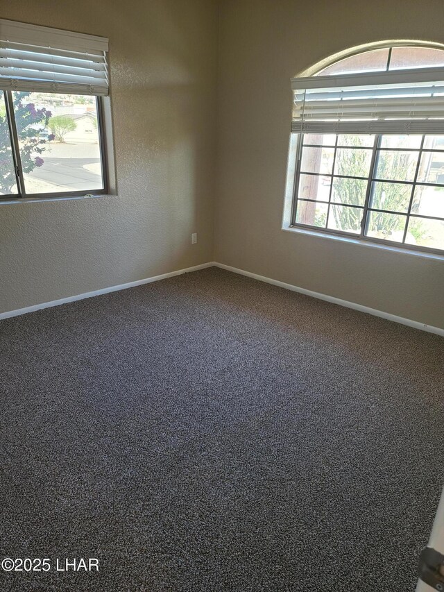 3341 Dune Dr, Lake Havasu City, AZ 86404 - photo 63