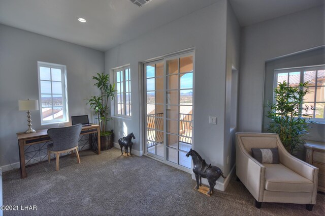 8551 River View Villas Dr Unit 15, Parker, AZ 85344 - carpeted office with plenty of natural light, baseboards, and recessed lighting