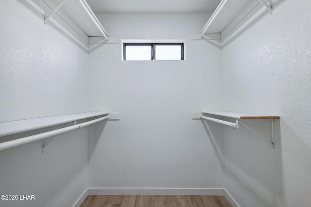 spacious closet featuring wood finished floors