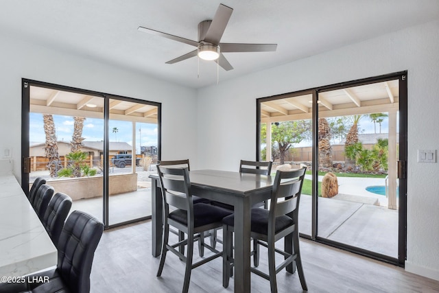 dining space featuring light wood-type flooring, beam ceiling, and ceiling fan