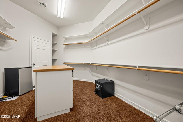 8480 Miraleste Shores Dr, Parker, AZ 85344 - spacious closet with dark colored carpet