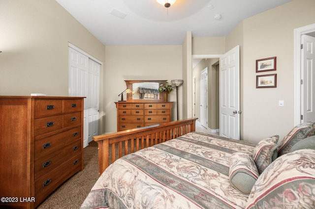 8480 Miraleste Shores Dr, Parker, AZ 85344 - bedroom with dark colored carpet and a closet