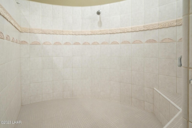 8480 Miraleste Shores Dr, Parker, AZ 85344 - bathroom with tiled shower