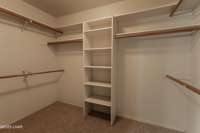 walk in closet with carpet flooring