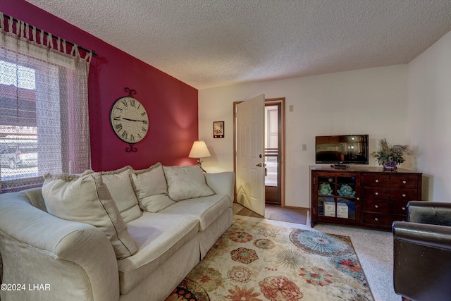 carpeted living room with a textured ceiling