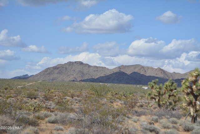 5.5ACRES S Suzette Rd, Yucca, AZ 86438