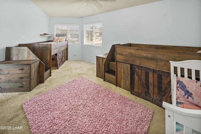 3002 Maracaibo Ct, Lake Havasu City, AZ 86404 - photo 29